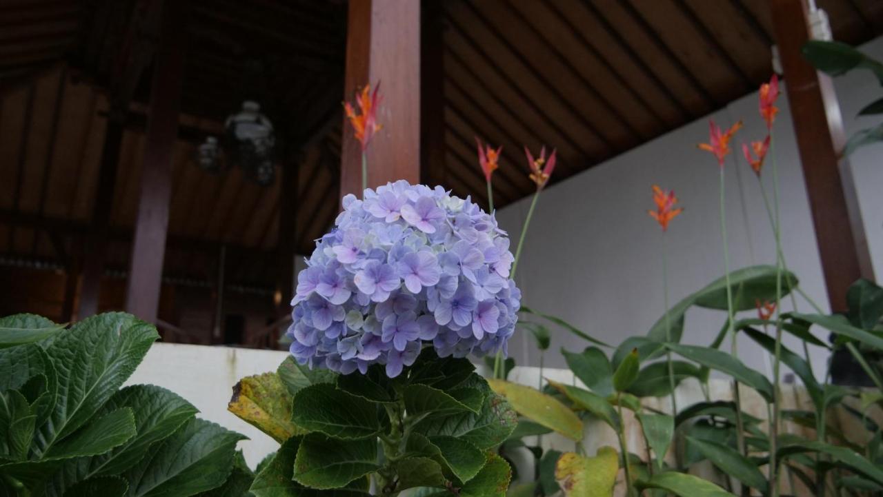 Sanggar Pantcha Indra Guest House Kemuning Exterior foto