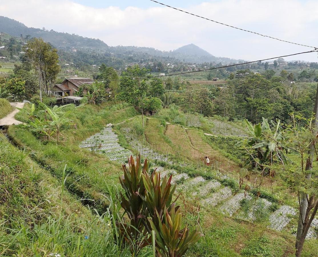 Sanggar Pantcha Indra Guest House Kemuning Exterior foto